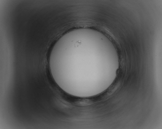 X0000101230459200806270949