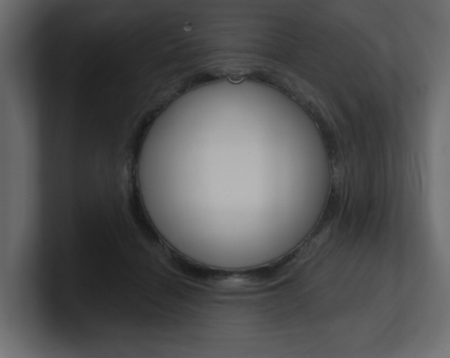 X0000101230460200806270949