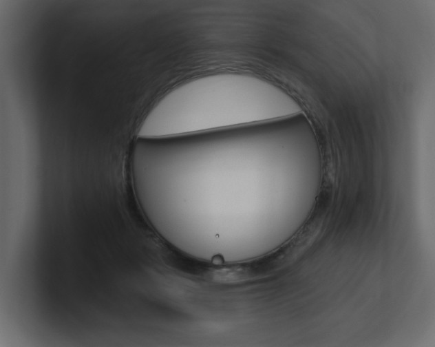 X0000101230461200806270949