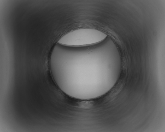 X0000101230465200806270949