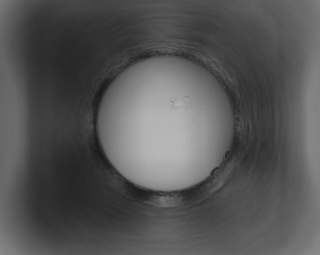 X0000101230466200806270949