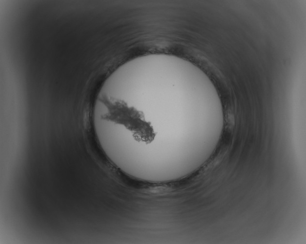 X0000101230468200806270949