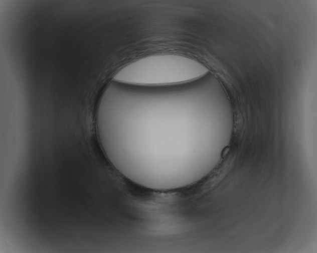 X0000101230469200806270949