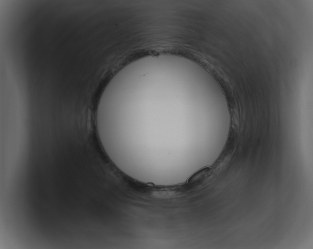 X0000101230470200806270949