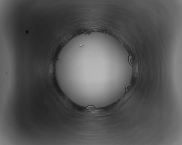 X0000101230472200806270949