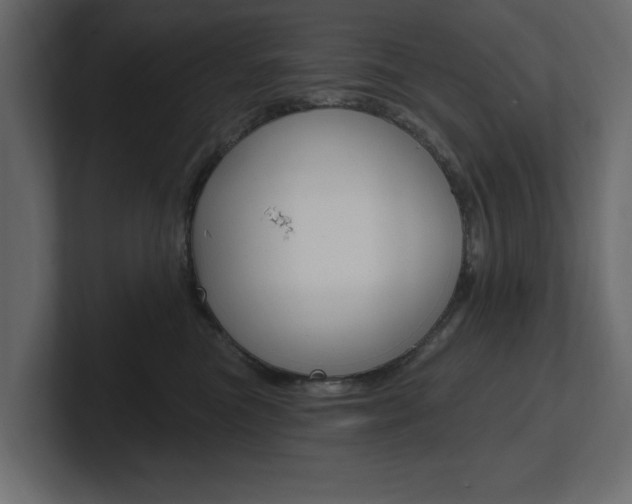 X0000101230473200806270949