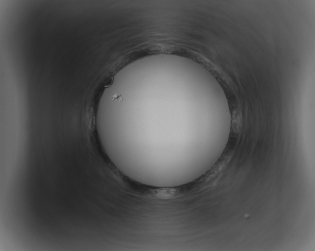 X0000101230474200806270949