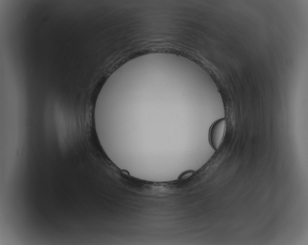 X0000101230475200806270949