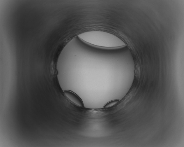 X0000101230477200806270949
