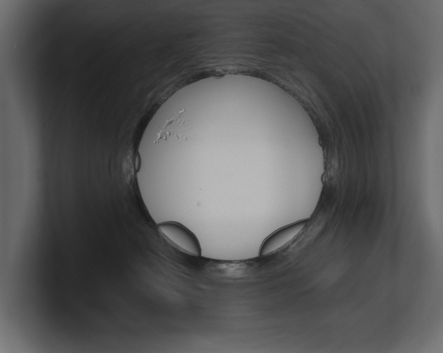 X0000101230478200806270949