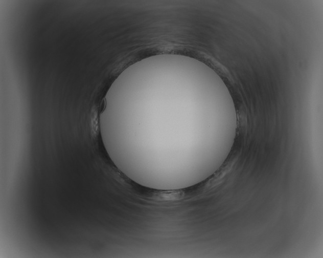 X0000101230479200806270949