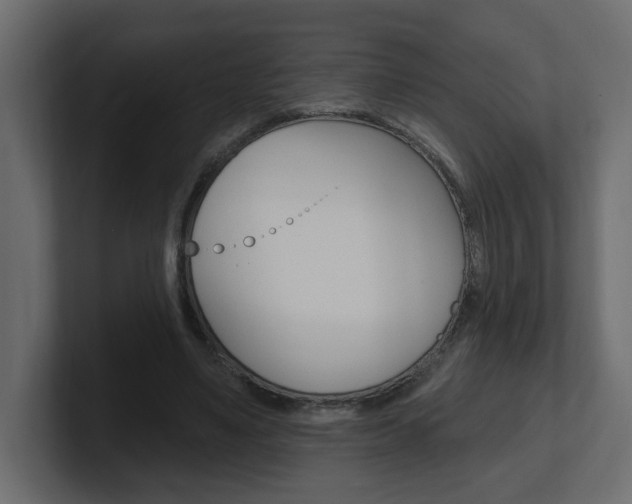 X0000101230491200806270948