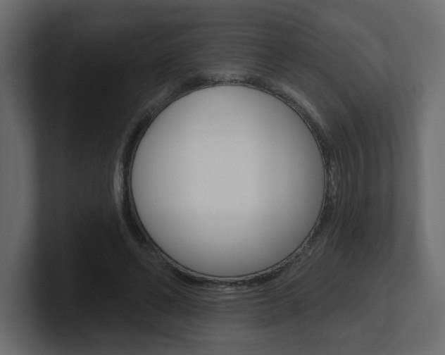 X0000101230494200806270948