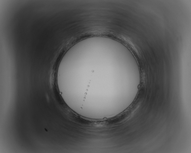 X0000101230495200806270948