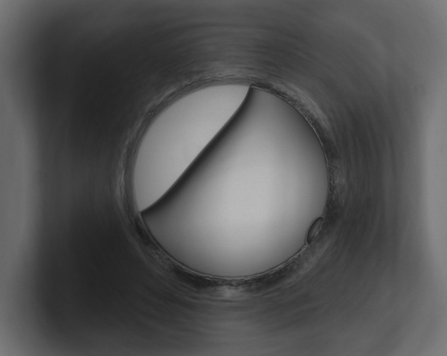 X0000101230496200806270948