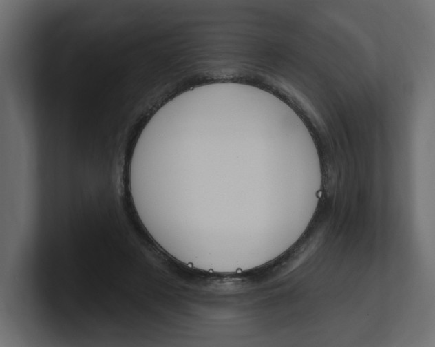 X0000101230497200806270948