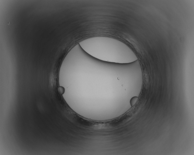 X0000101230499200806270948