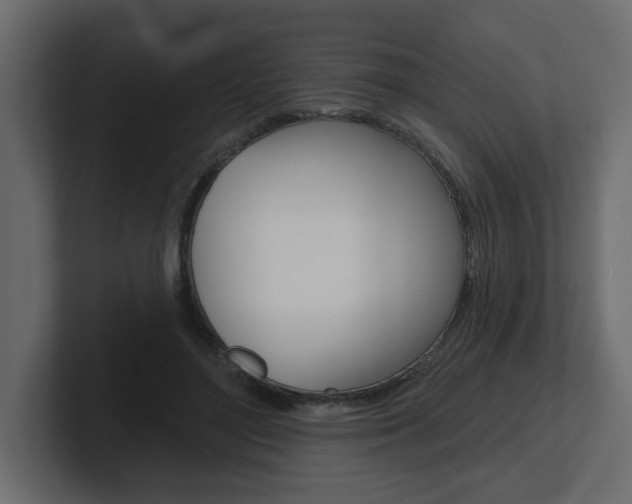 X0000101230500200806270948