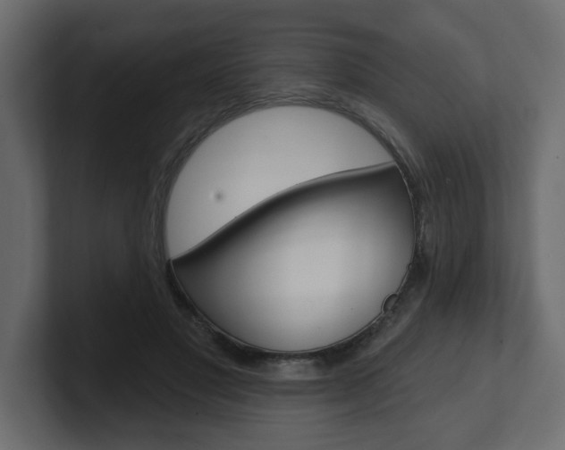 X0000101230501200806270948