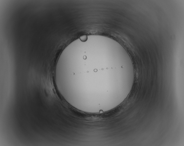 X0000101230503200806270948