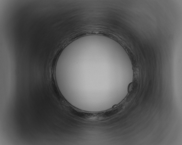 X0000101230504200806270948