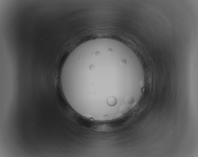 X0000101230507200806270948