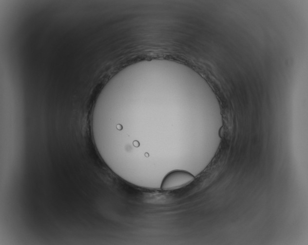 X0000101230511200806270948