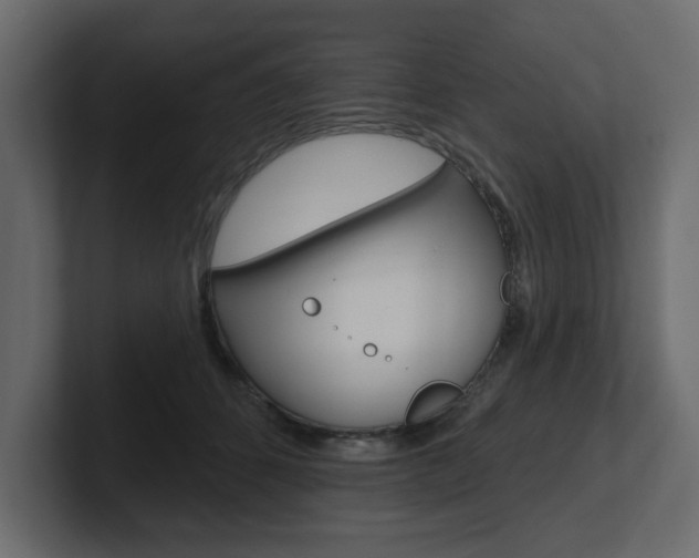 X0000101230512200806270948