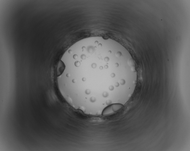 X0000101230519200806270948