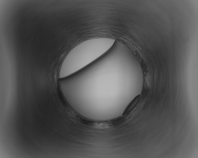 X0000101230520200806270948
