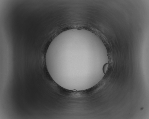 X0000101230523200806270948