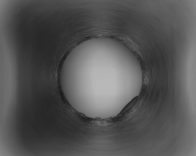 X0000101230524200806270948