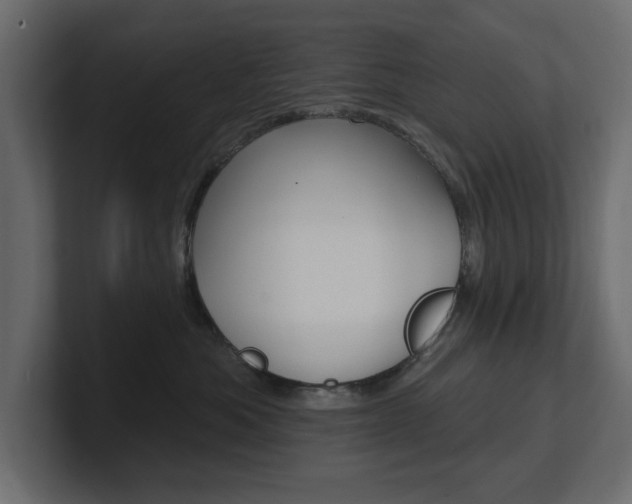 X0000101230525200806270948