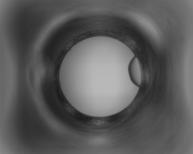 X0000101230526200806270948