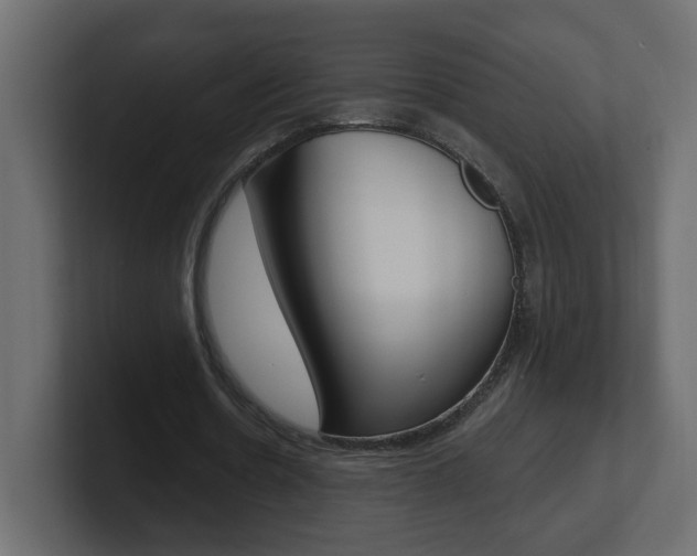 X0000101230530200806270947