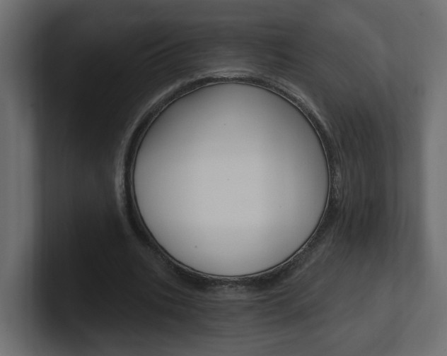 X0000101230535200806270947
