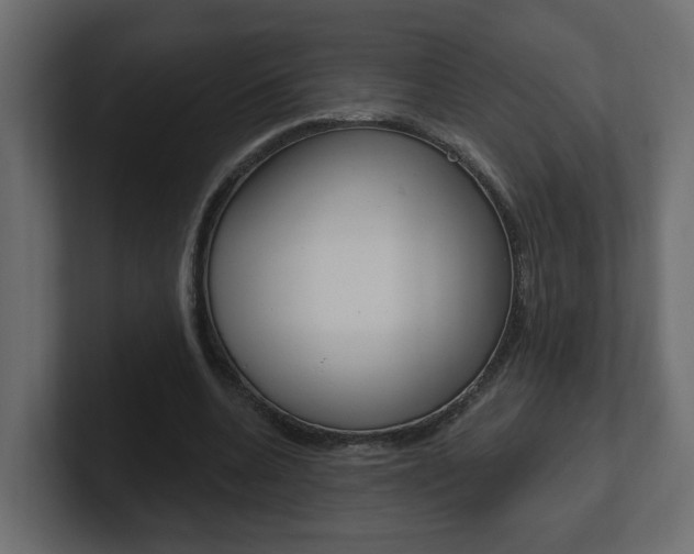 X0000101230536200806270947