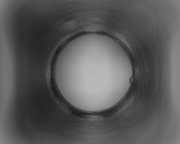 X0000101230539200806270947