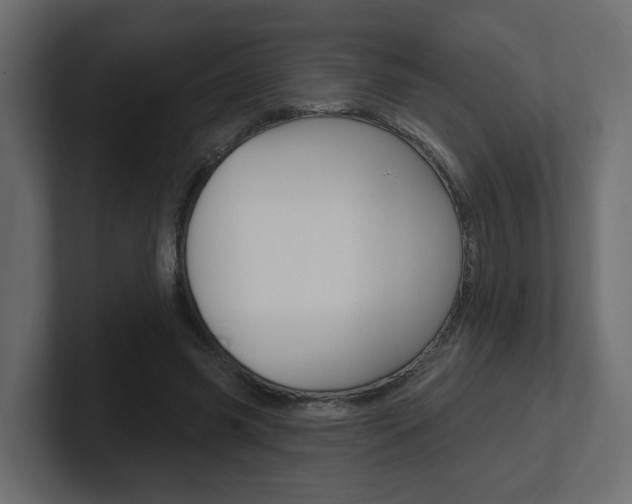 X0000101230541200806270947