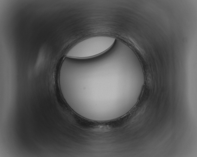 X0000101230543200806270947
