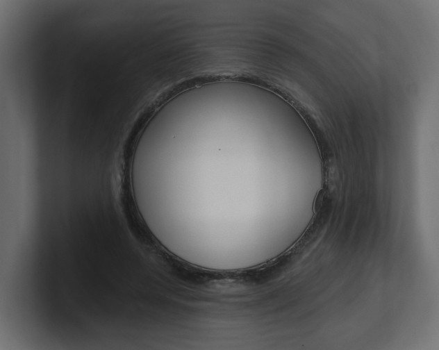 X0000101230544200806270947