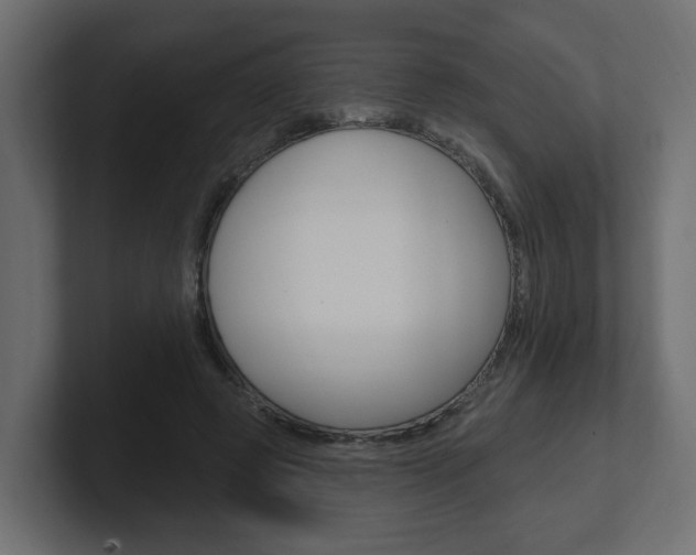 X0000101230545200806270947