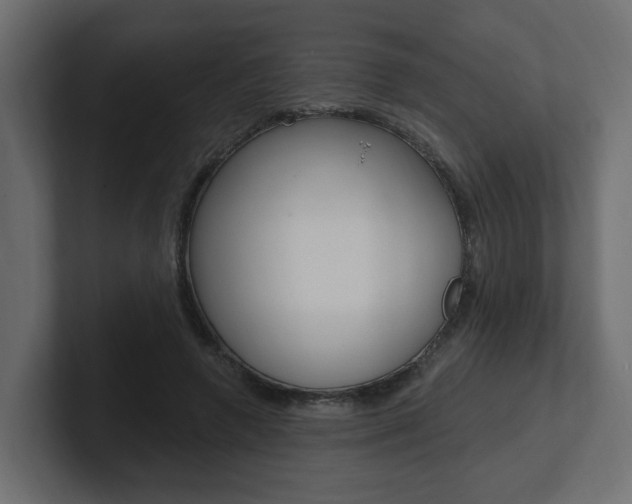 X0000101230546200806270947