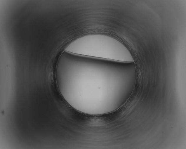 X0000101230547200806270947