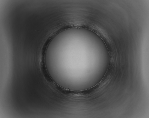 X0000101230548200806270947