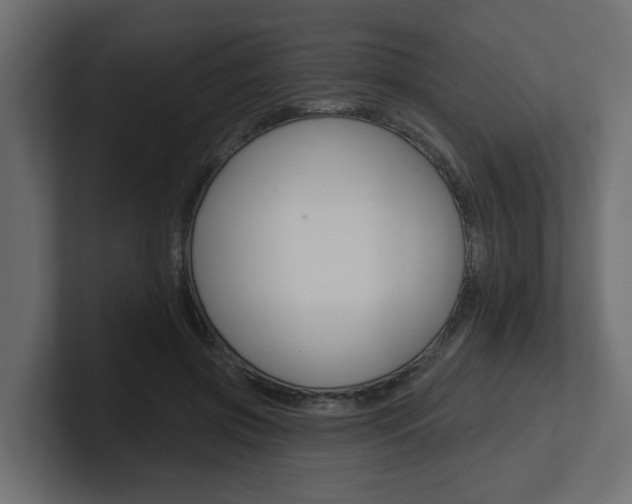 X0000101230549200806270947
