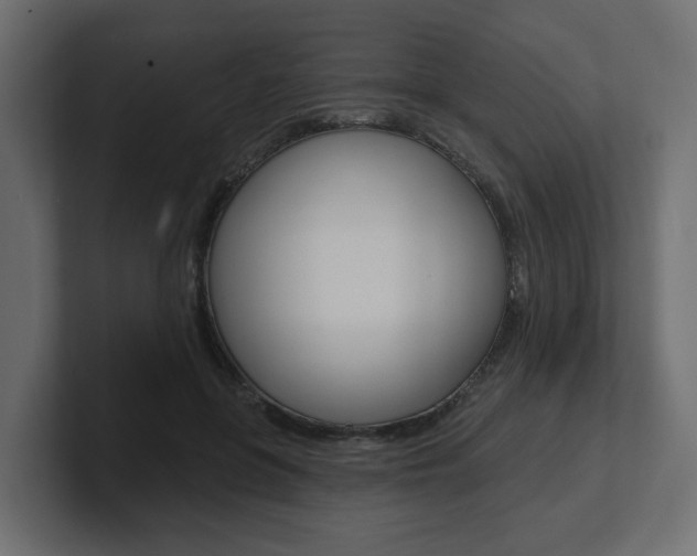 X0000101230551200806270947