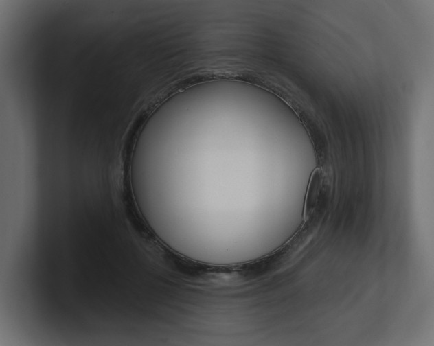 X0000101230552200806270947
