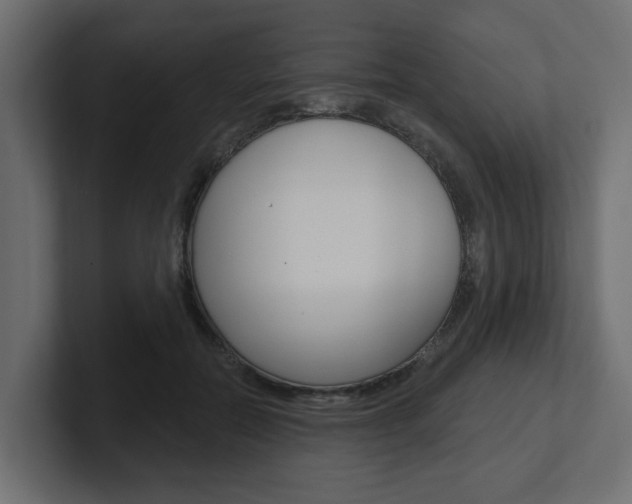 X0000101230554200806270947