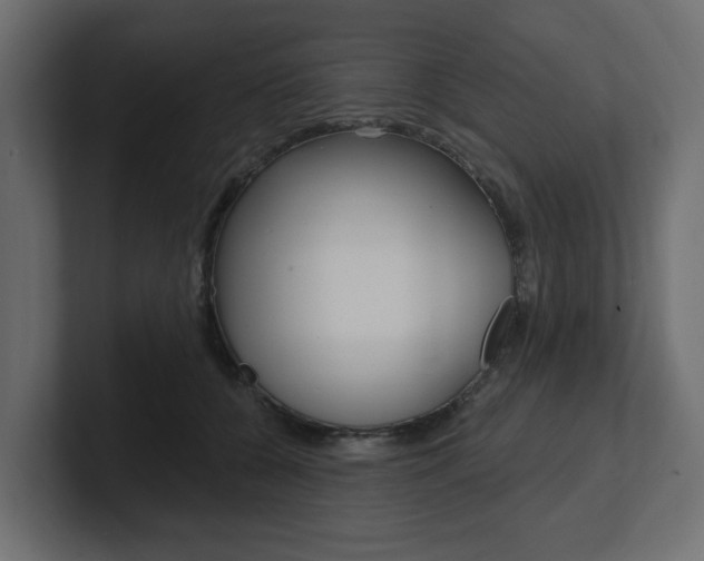 X0000101230560200806270948